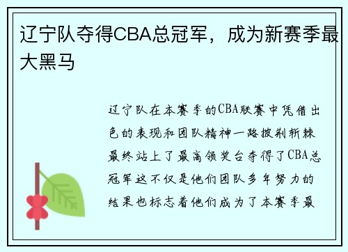 辽宁队夺得CBA总冠军，成为新赛季最大黑马